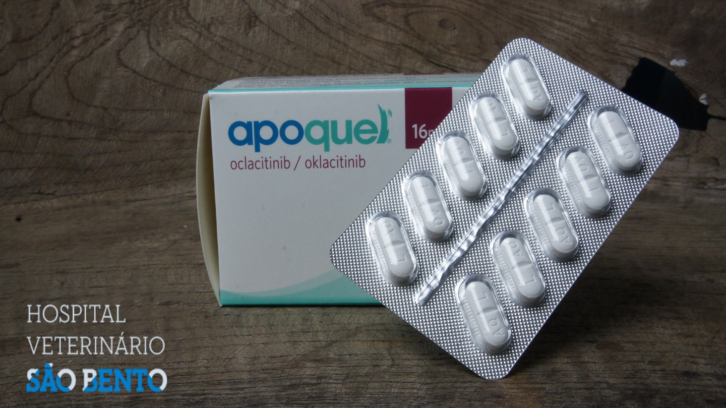 APOQUEL 16mg BLISTER 10CP