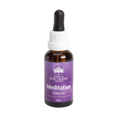 MEDITATION ESSENCE