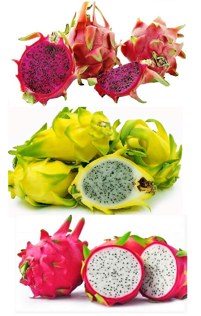 PITAYA