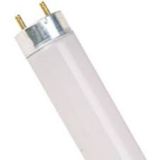 Lampada fluorescente T8 L 58W/865 Osram