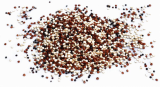 sementes quinoa tricolor 