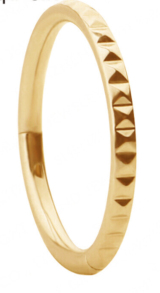 Argola Gold Corte Quadrado 8mm - Segmentada em Titânio 