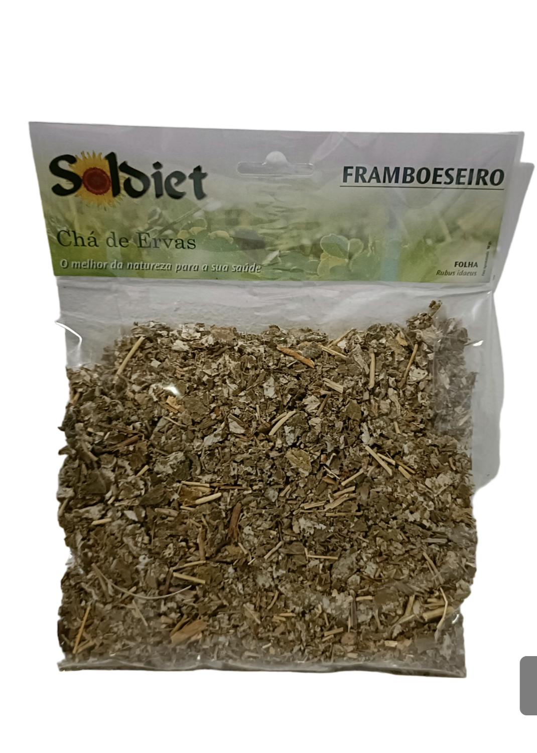 Funcho Planta Soldiet