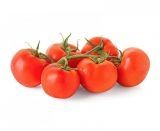 Tomate Cacho Pack