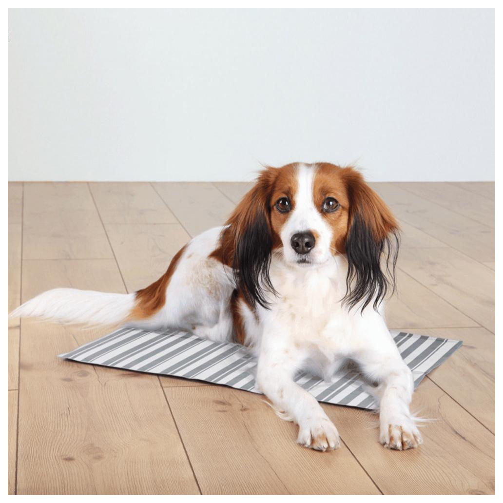 TAPETE DE ARREFECIMENTO 50X40 CM