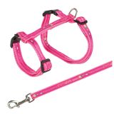 PEITORAL E TRELA "COMIC" GATOS XXL