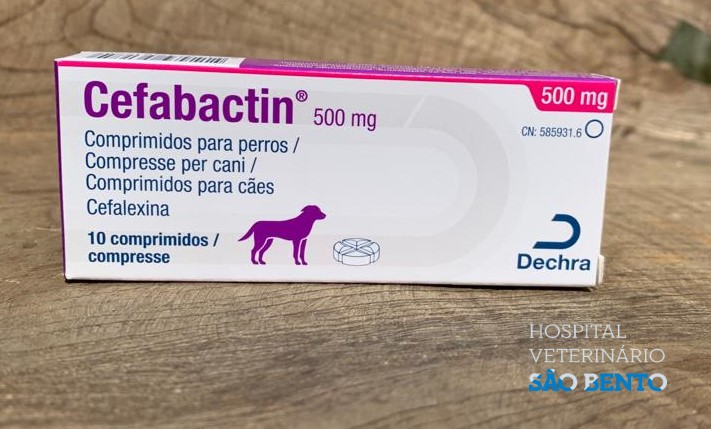 CEPHACARE 500MG 10CP