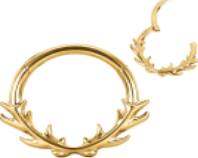 Argola Ramos Lisa Gold