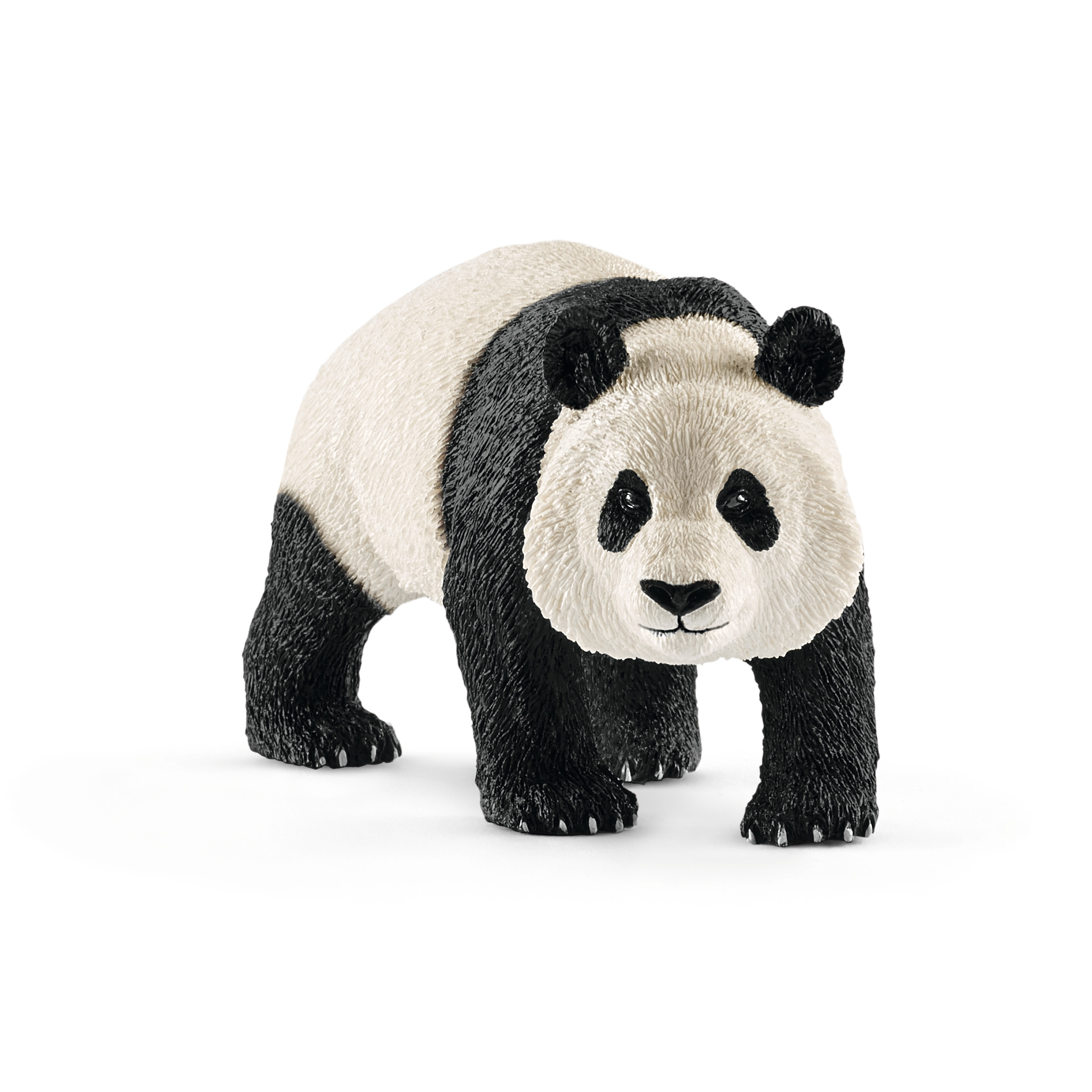 Urso Panda gigante macho