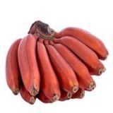 BANANEIRA RED