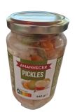 PICKLES AMANHECER 340GR