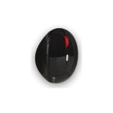 MOUSE NGS ERGONOMICO WIRELESS GLOSSY BLACK EVOERGO