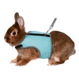 PEITORAL C/ TRELA ELÁSTICA P/ ROEDORES 25-32 CM 