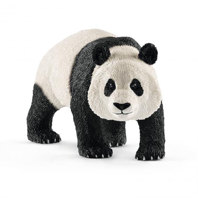 Panda Gigante Macho