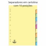 SEPARADORES DE CARTOLINA COM 10 POSIÇÕES