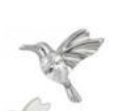 Piercing Passaro Beija-flor