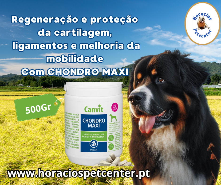 Canvit Chondro Maxi For Dogs 500gr (+25kg) 166 pastilhas