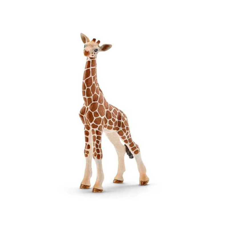 Girafa cria