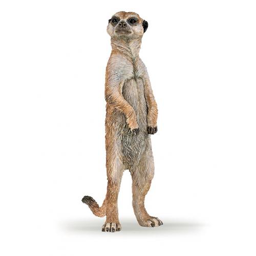 SURICATA EM PÉ