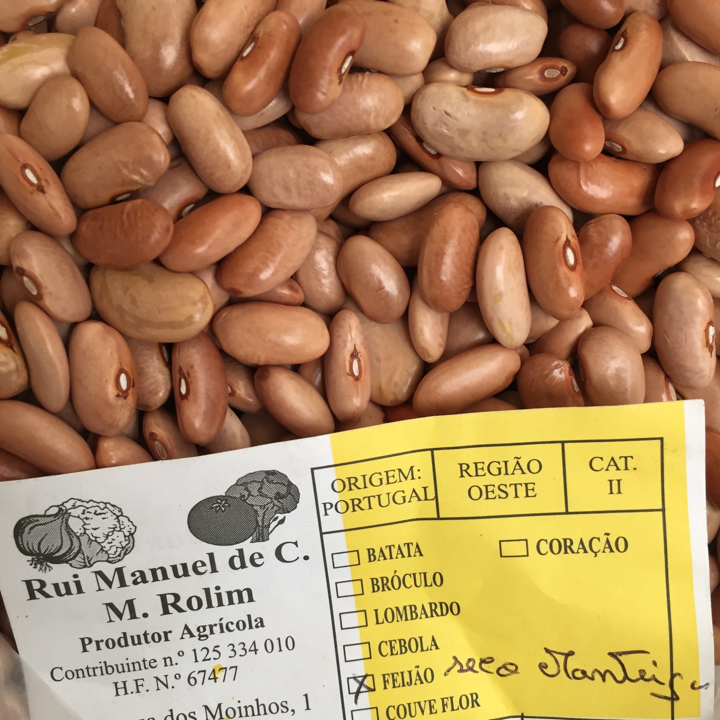 Feijão Manteiga Seco