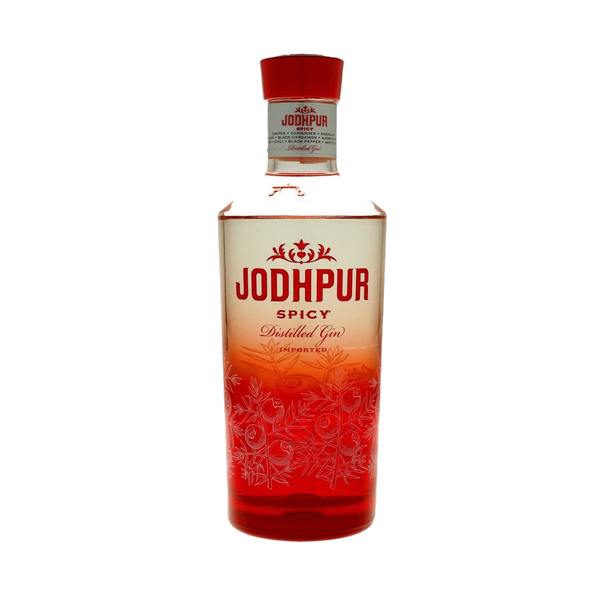 Jodhpur (Premium)