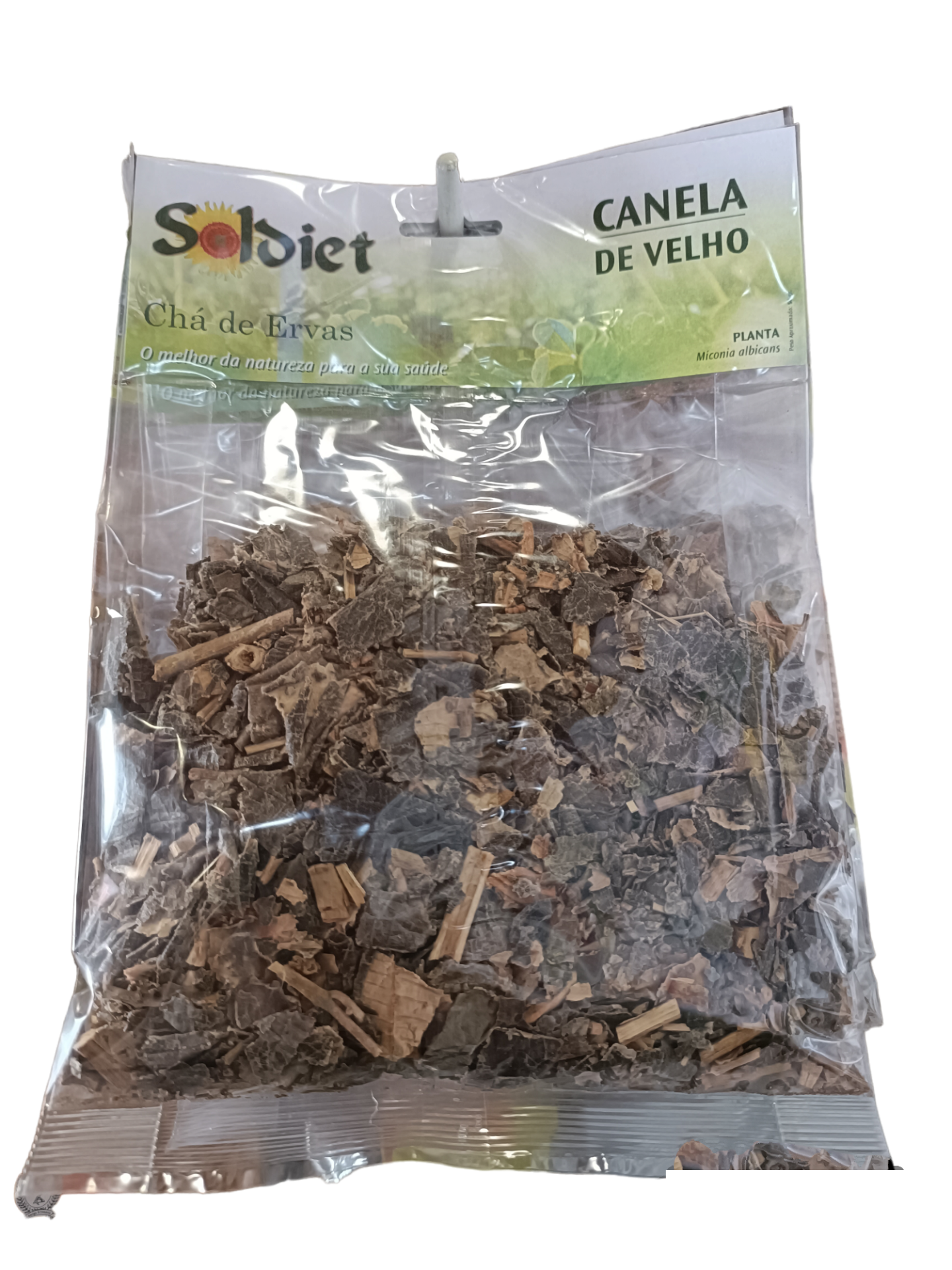 Canela de Velho Planta Soldiet