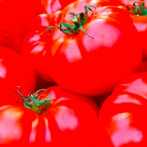 Tomate Coração de Boi