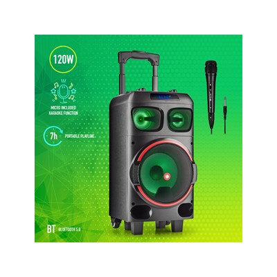 COLUNA NGS WOOFER SPEAKER 120W WILDDUBZERO
