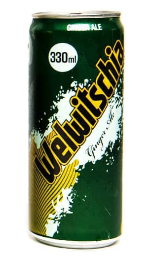 Welwitschia Ginger Ale