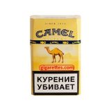 CAMEL SOFT