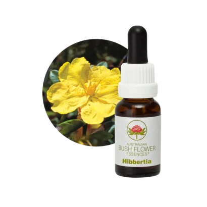 HIBBERTIA