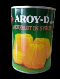 AROY-D JACKFRUIT IN SYRUP 565G
