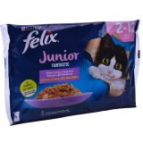 FELIX GELATINA JUNIOR 4X85G