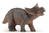 Triceratops Jovem
